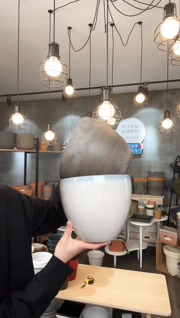 【闪购商品】塑料2025.1.21闪购十一号链接两只