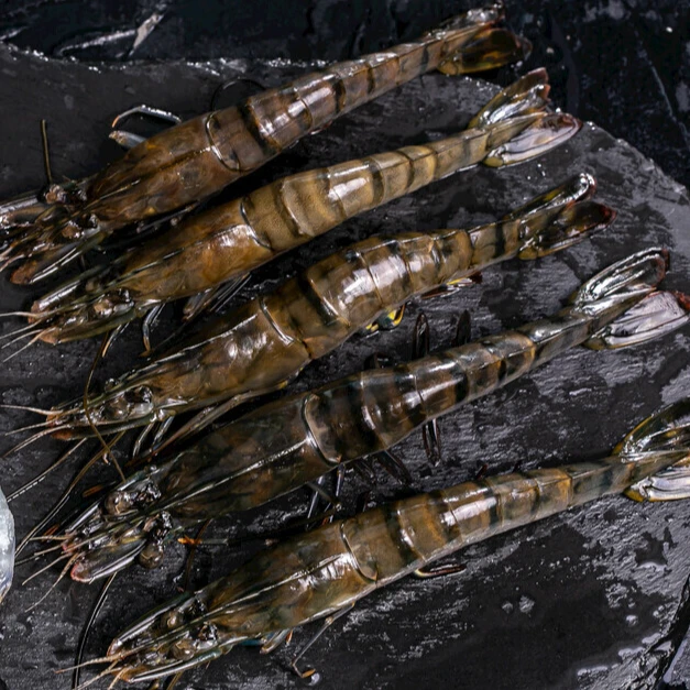 【新永发·活鲜现捞】黑虎虾（路途遥远保鲜，不保活）