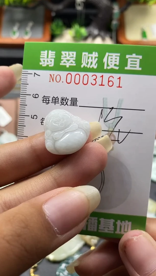 翡翠未镶嵌颈饰C闪购0003161