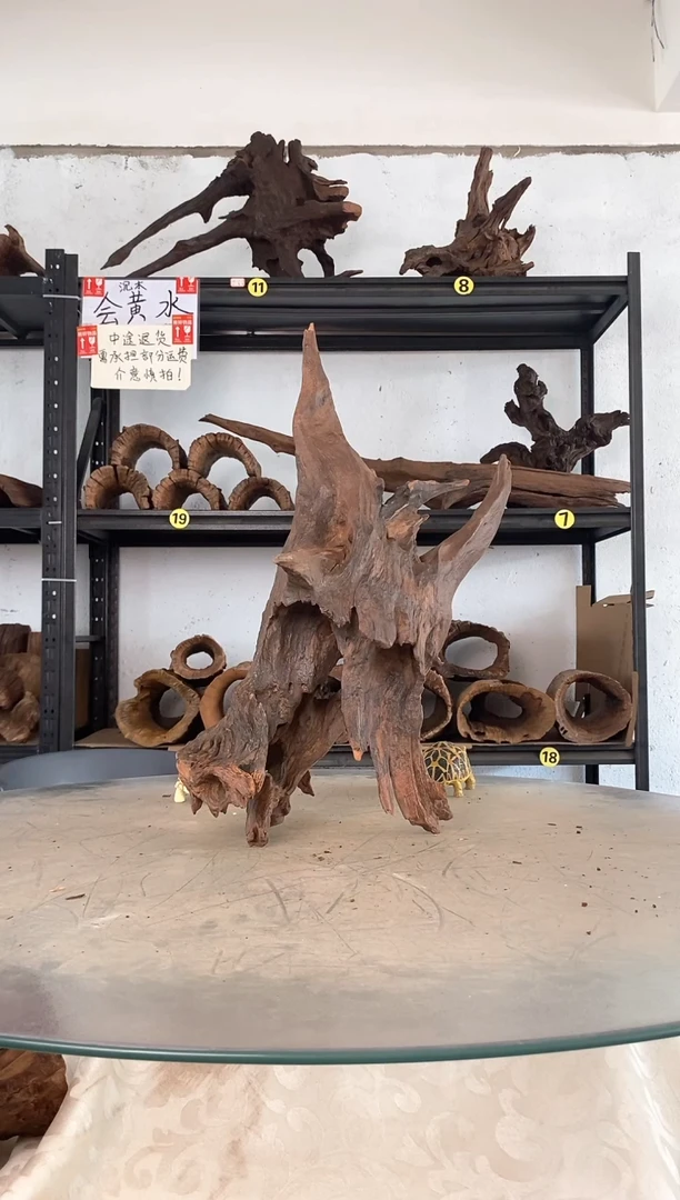 寂***儿鱼缸爬宠造景素材725