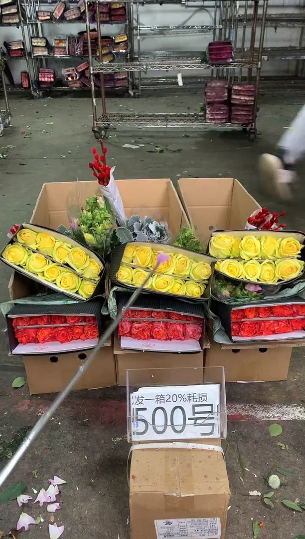 500号♥中通含20%耗损发一箱鲜花