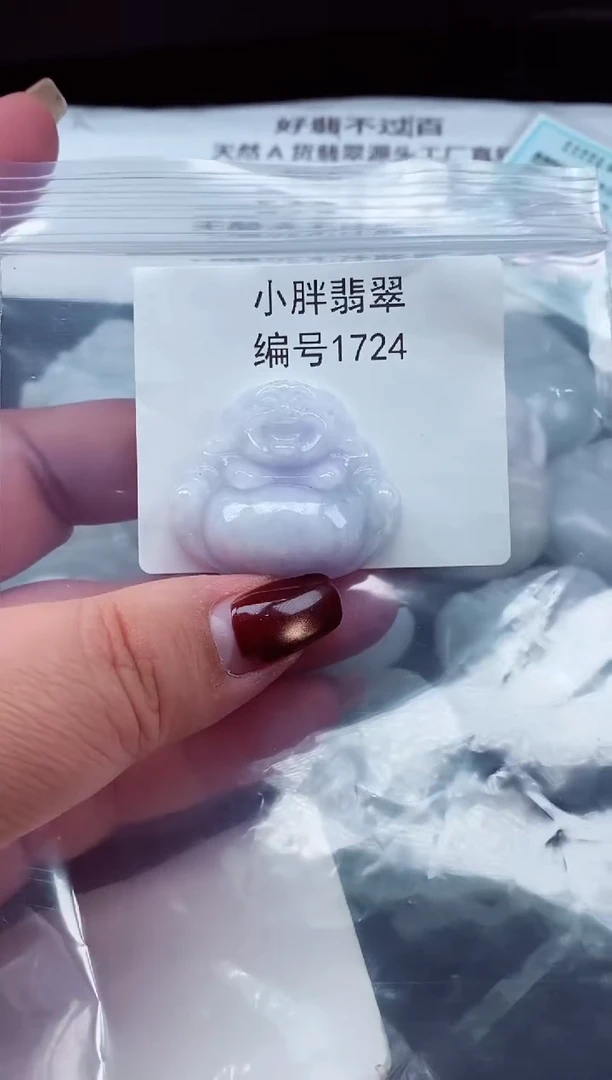 颈饰未镶嵌翡翠缅甸天然A货翡翠1724