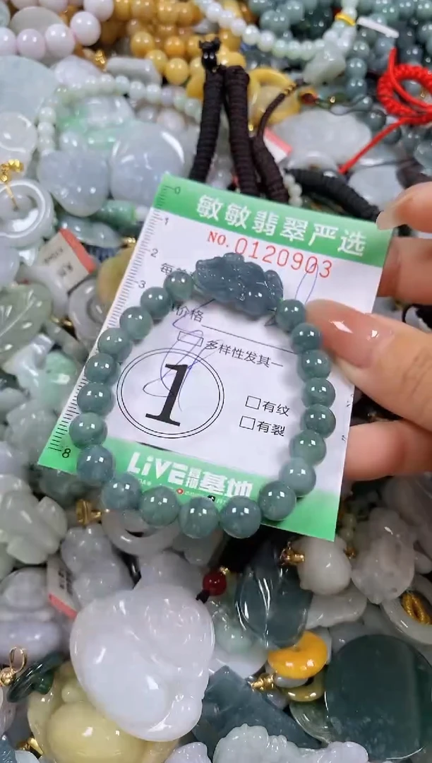 【闪购商品】翡翠颈饰未镶嵌闪购0120903多样性发其一