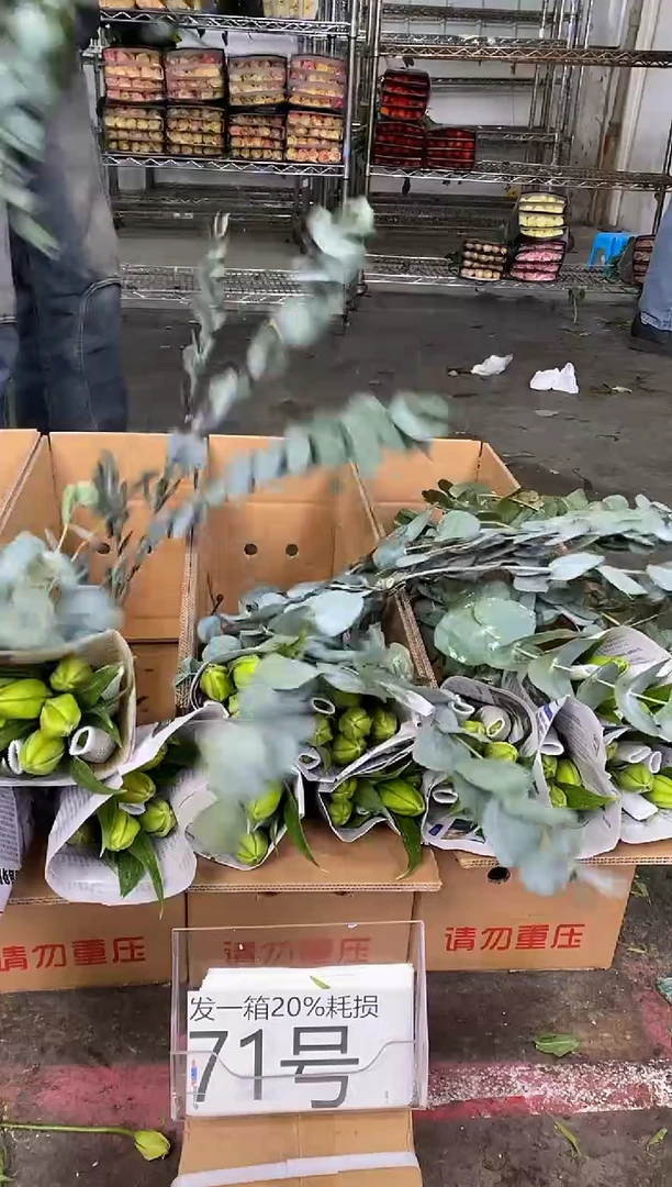 71号♥含20%耗损发一箱