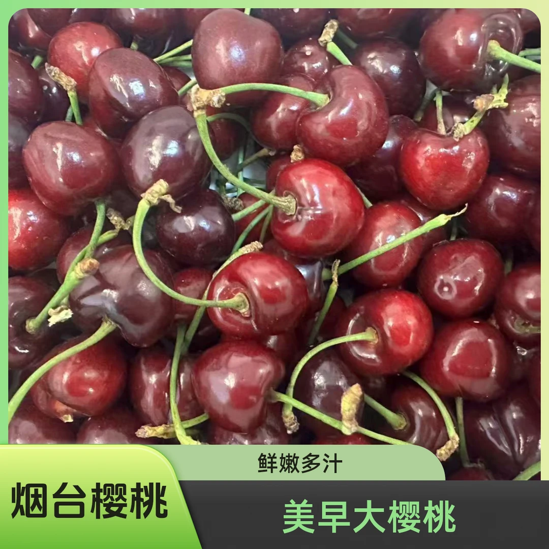 【美早】烟台大樱桃，试吃半斤，顺丰「空运」3斤-8斤