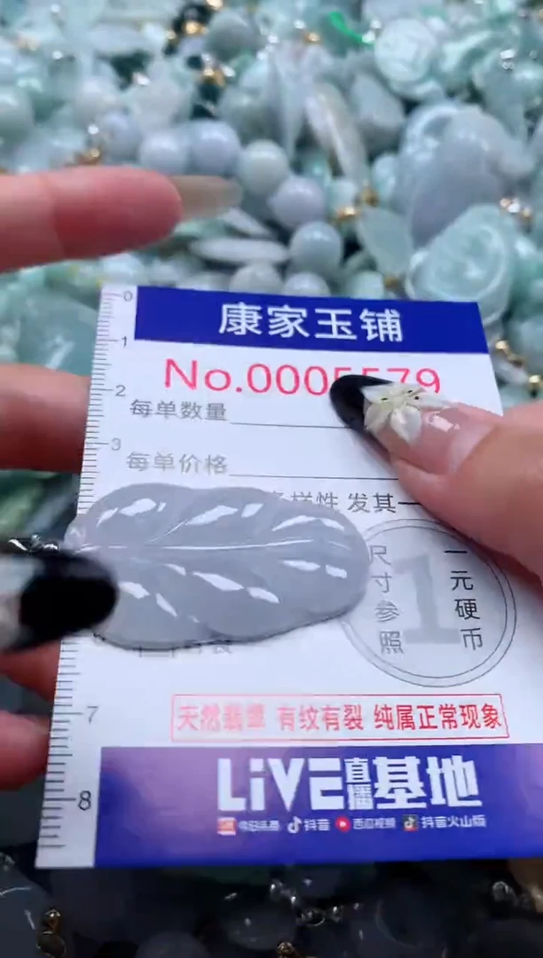 颈饰未镶嵌翡翠5579