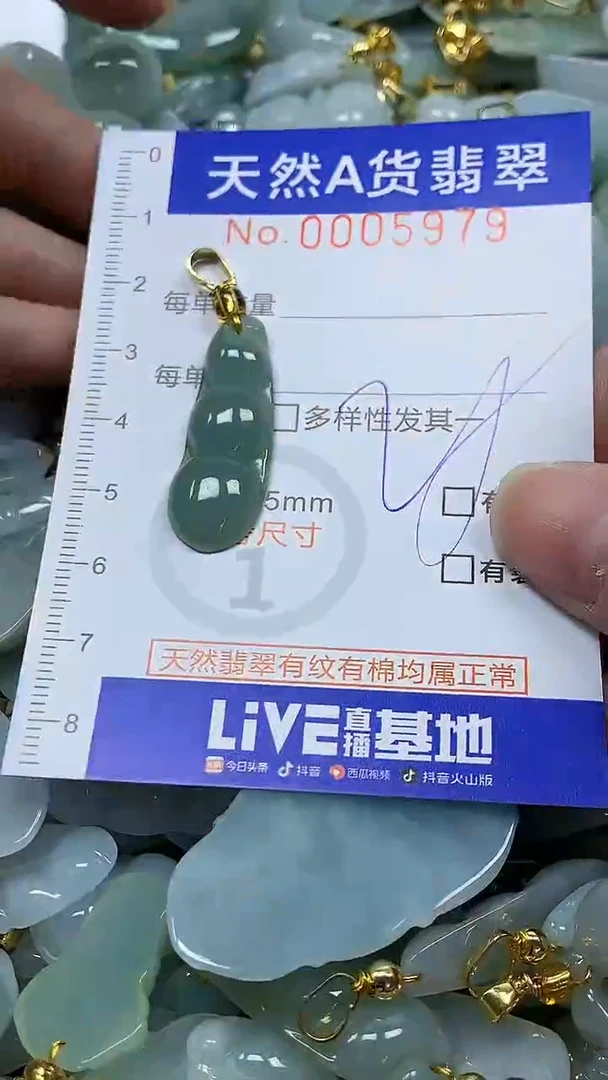 颈饰未镶嵌翡翠纯天然a货翡翠