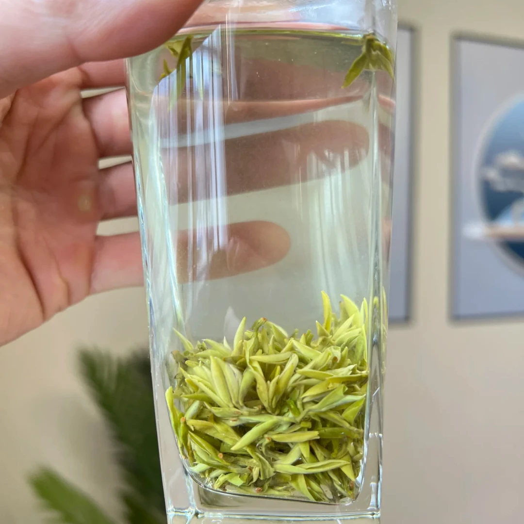 明前新茶2025嫩芽【手工碧螺春】春茶花果香浓香型