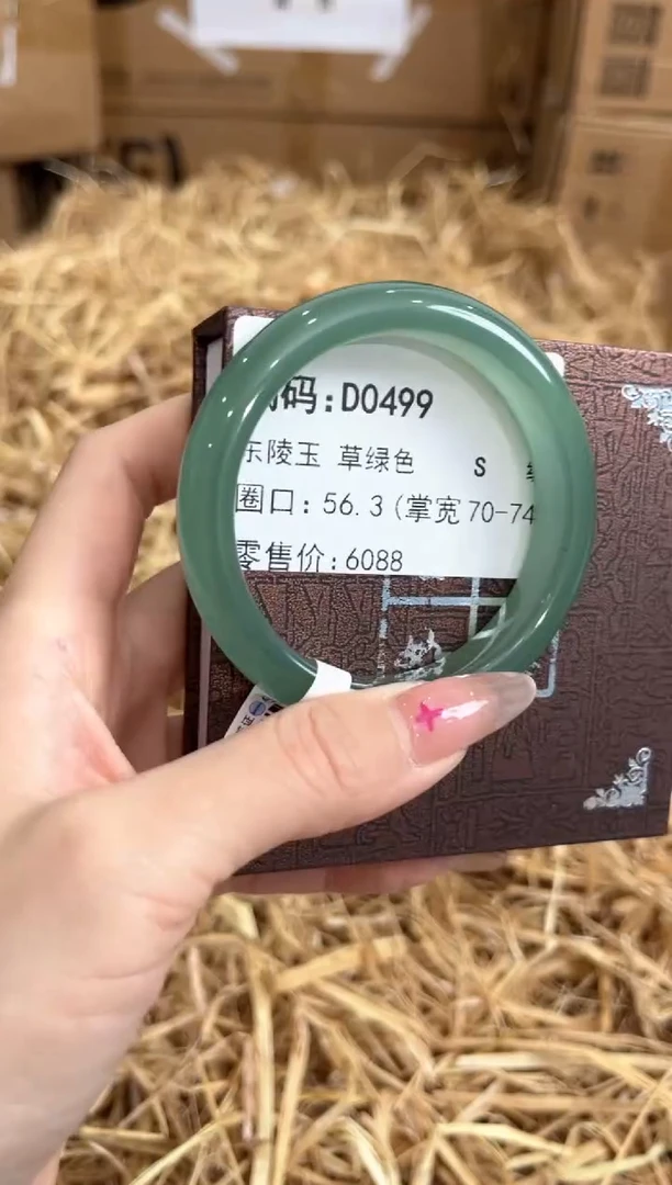 未镶嵌手镯石英质玉D0499