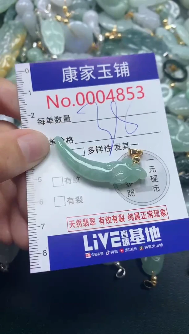 颈饰未镶嵌翡翠4853