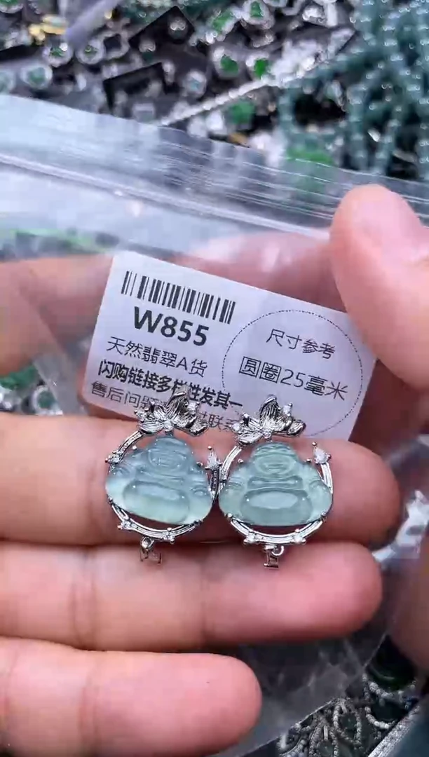 【闪购商品】翡翠颈饰未镶嵌W855多样性发其一