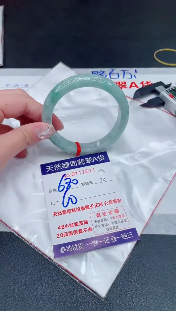 未镶嵌手镯翡翠11