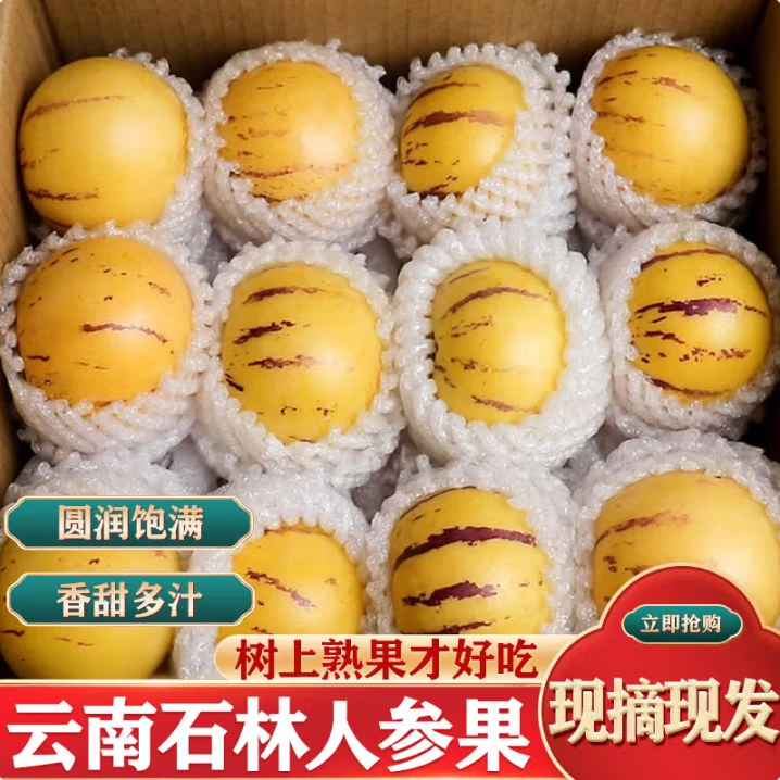 云南石林树上熟人参果现摘圆果新鲜大果黄肉人生果应季水果长寿果
