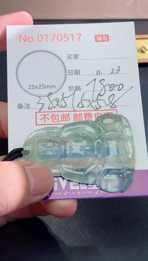 颈饰未镶嵌翡翠颐天然缅甸A货翡翠