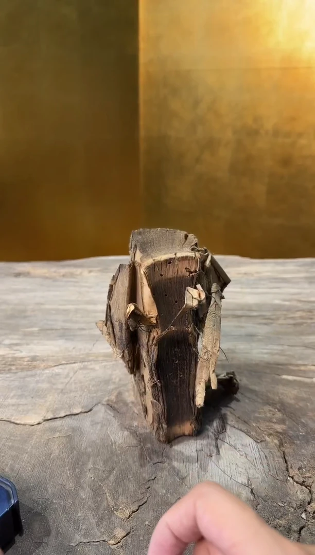 瓷片13y古美術空间美学A33