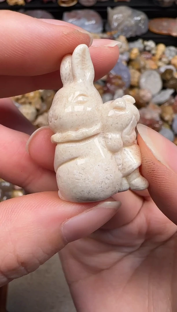 硅化珊瑚（珊瑚玉）未镶嵌颈饰182