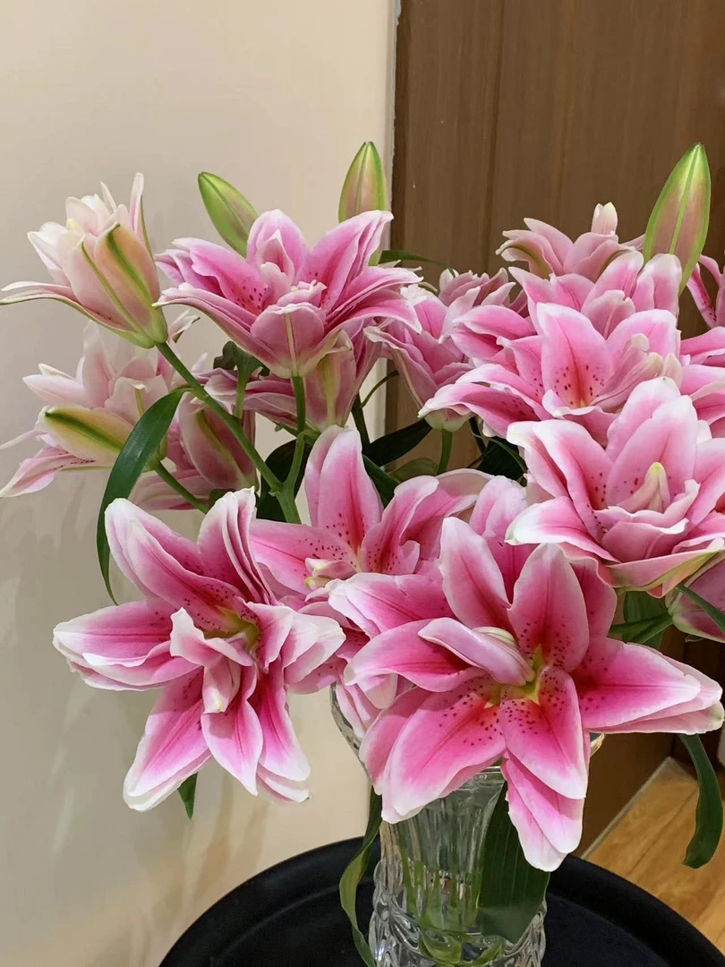 【小阿阮】#西亚拉#粉色重瓣香水百合花期长家居鲜花装饰 顺丰直发