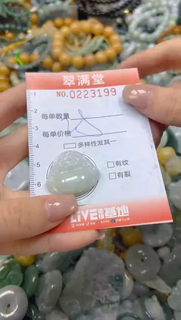 颈饰未镶嵌翡翠闪购0223199