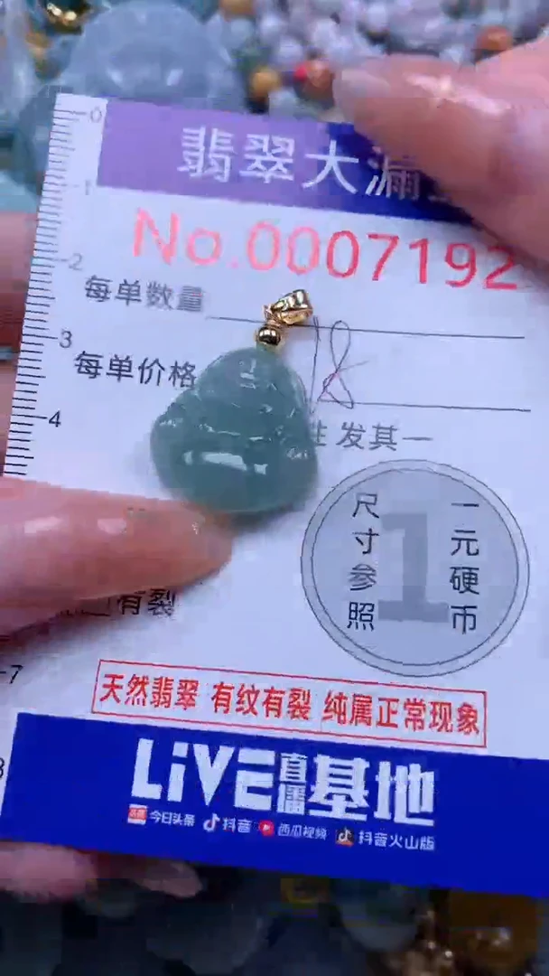 翡翠未镶嵌吊坠(不含链)7192