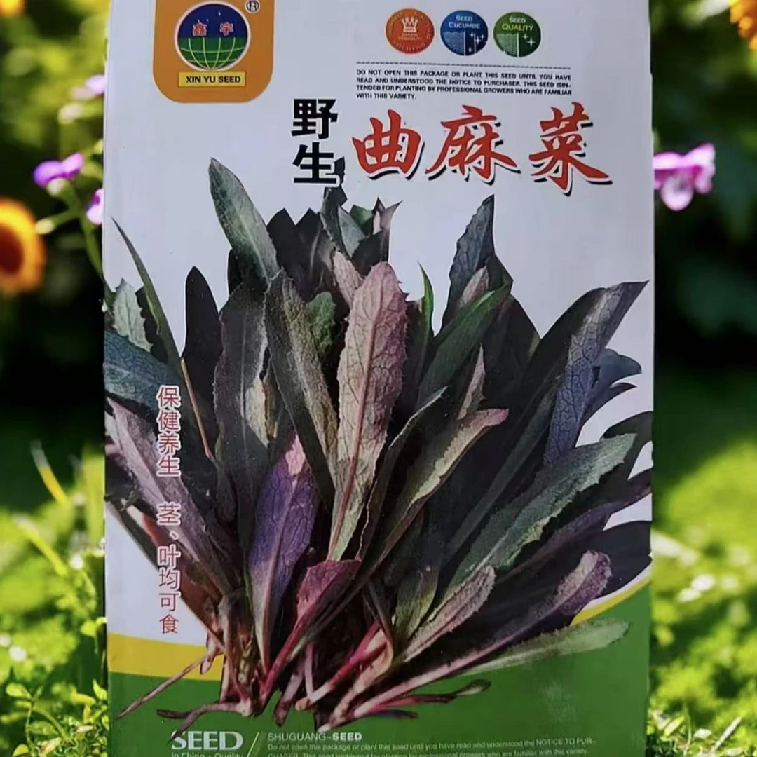 山野菜曲麻菜种子
