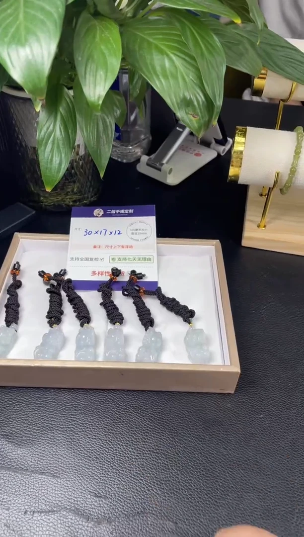 未镶嵌挂件翡翠貔貅FL61多样性发其一CP配绳