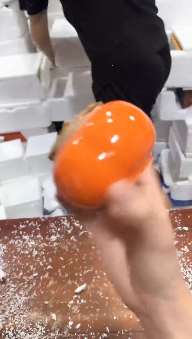 瓷片其他其他其他其他