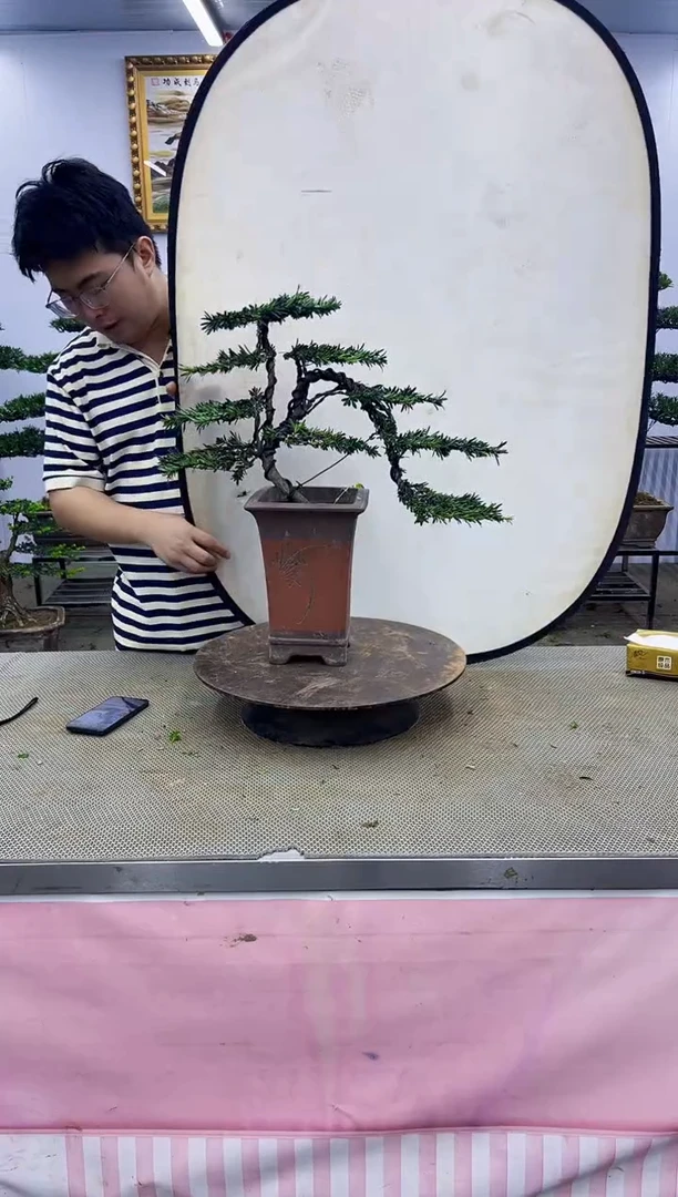 无花朵一物一拍，所见即所得