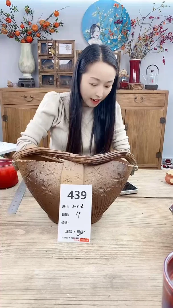 【闪购商品】红陶439