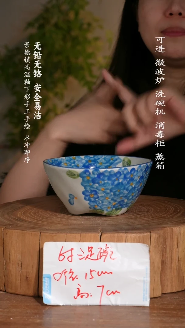 碗陶瓷景德镇高温瓷釉下彩手绘陶瓷