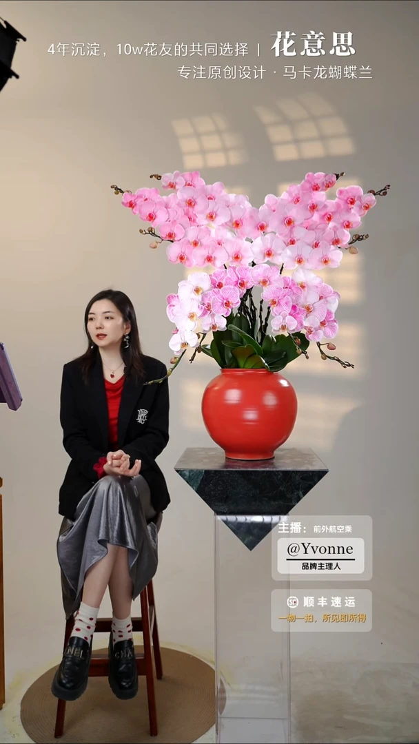 全部花朵033一物一拍蝴蝶兰艺术盆景