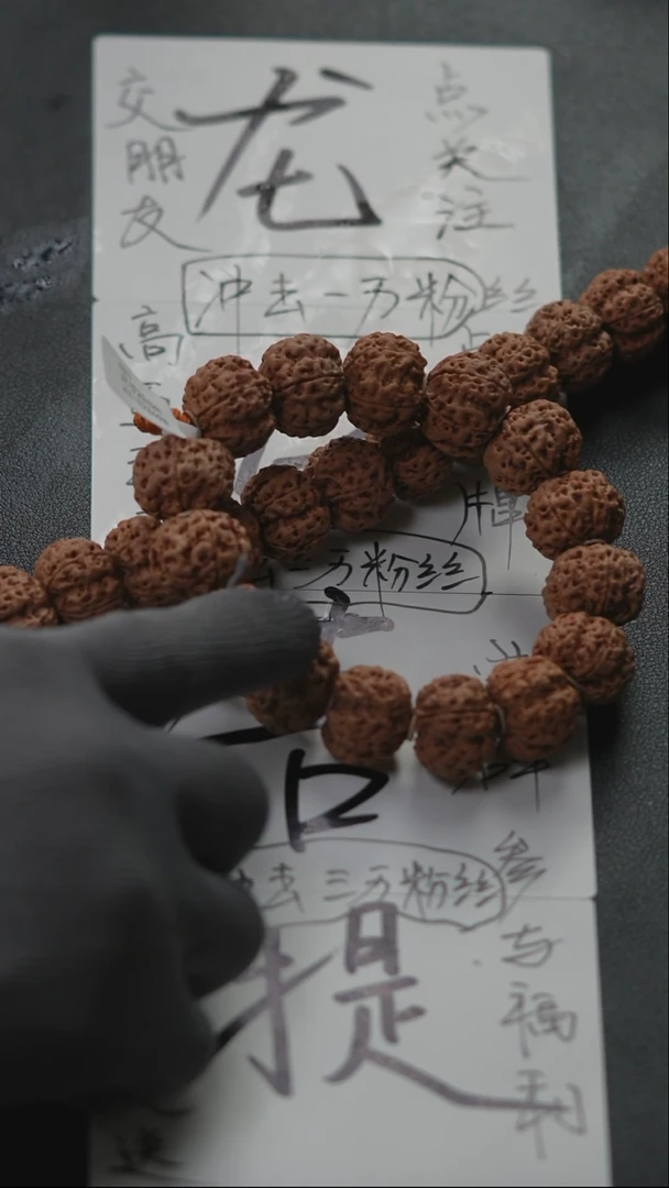 金刚菩提手串金刚菩提生态超头狠货24尺