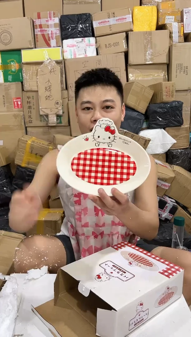 瓷片原盒kt猫红格子餐盘