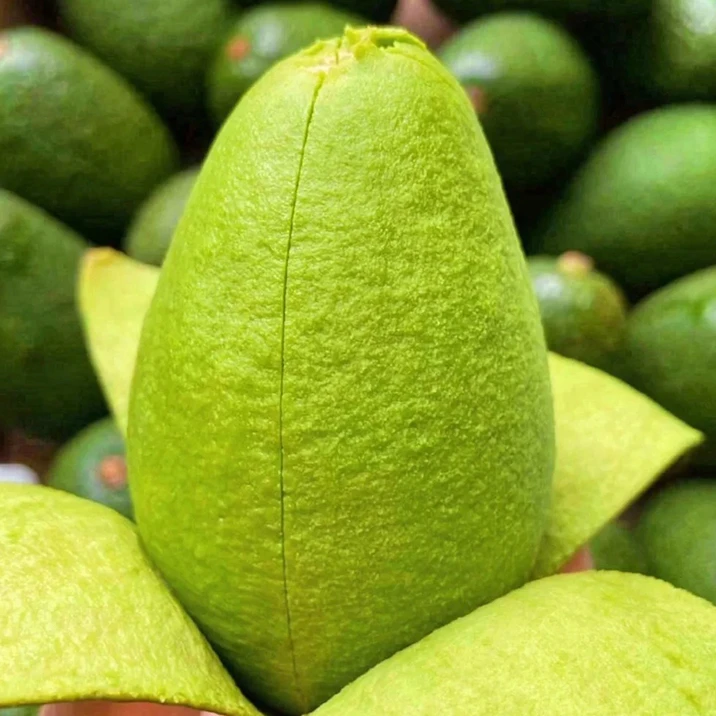 【坏果包赔】秘鲁哈斯牛油果当季新鲜水果2-10个装赠一包芥末酱油YY