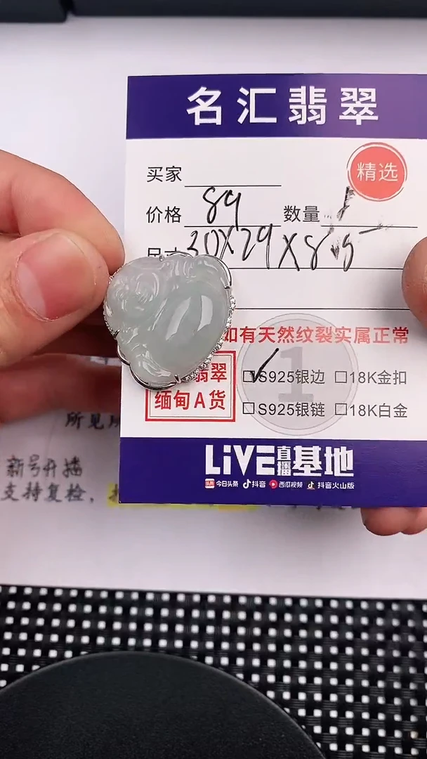 翡翠银S925镶嵌颈饰·