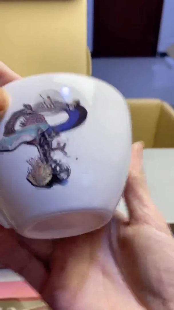 【闪购商品】瓷片1030瓷片瓷片瓷片瓷片