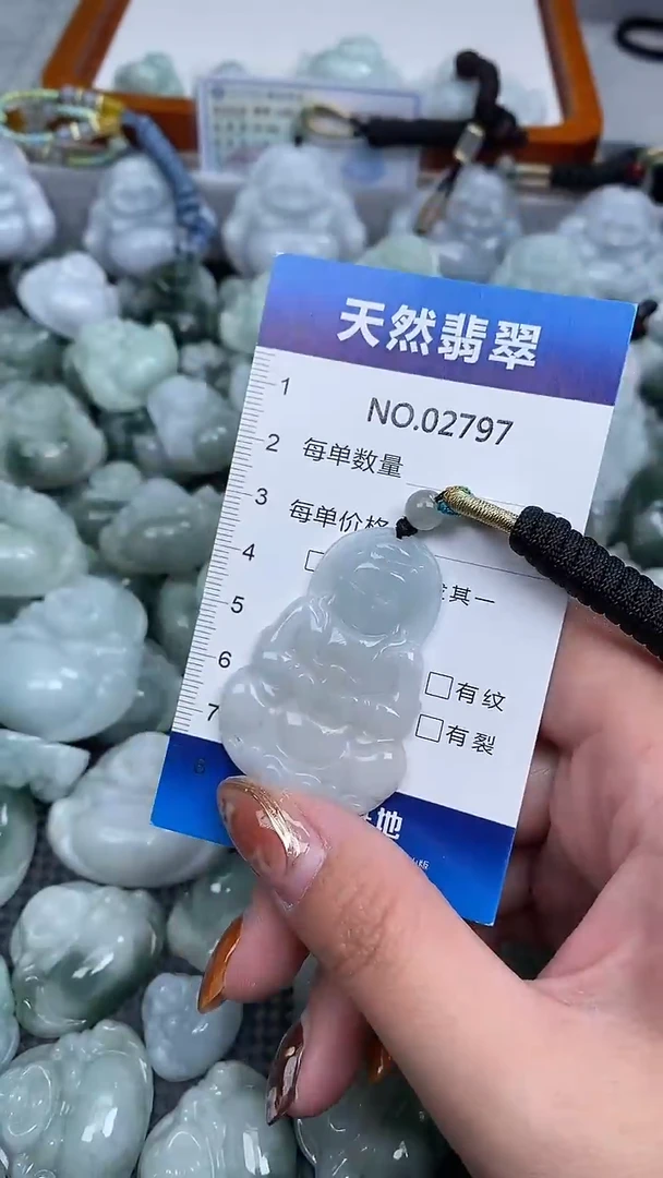 颈饰未镶嵌翡翠纯天然A货翡翠2797