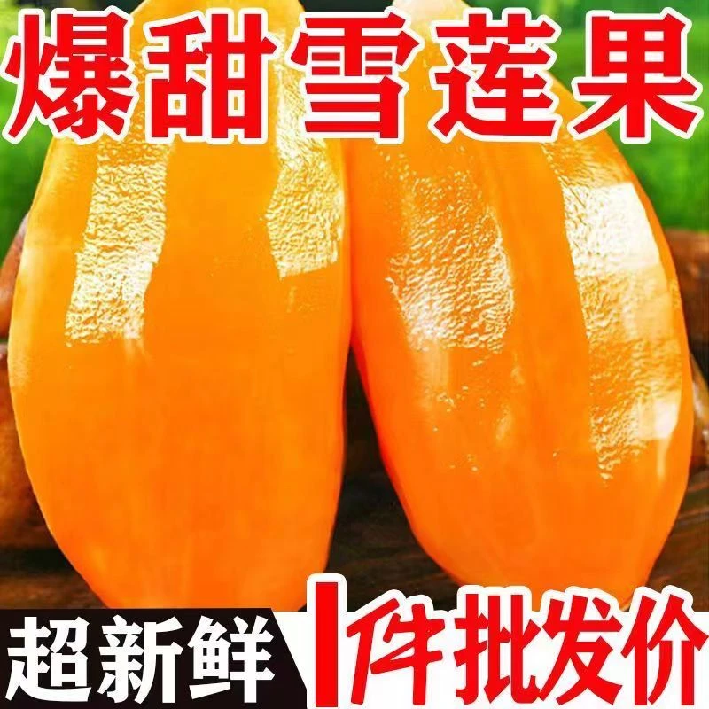 天山云南雪莲果红心黄心脆甜多汁爽口新鲜雪连果天山雪莲果水果