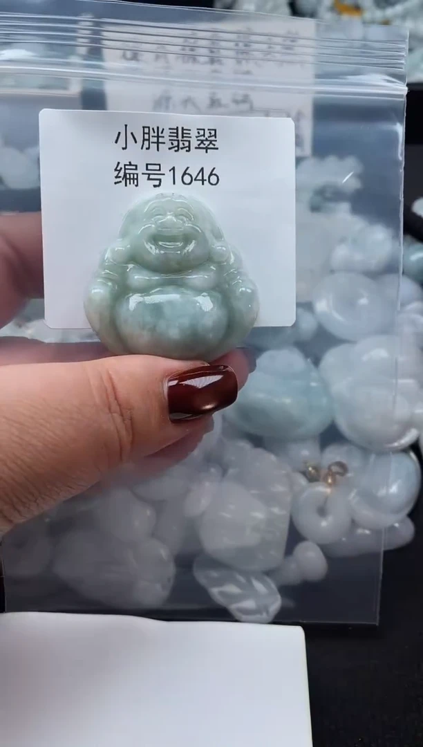 颈饰未镶嵌翡翠缅甸天然A货翡翠1646