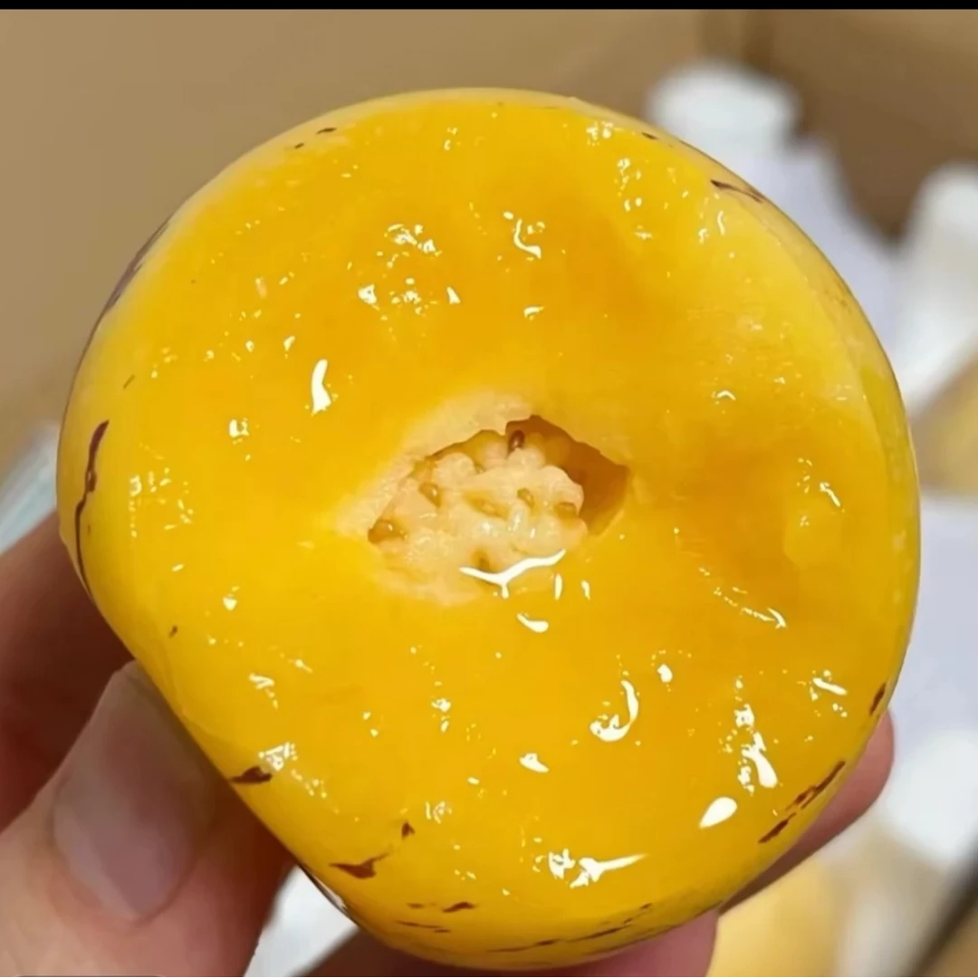 【云南石林树熟人参果】树上熟人参果黄肉圆果爆汁新鲜现摘水果