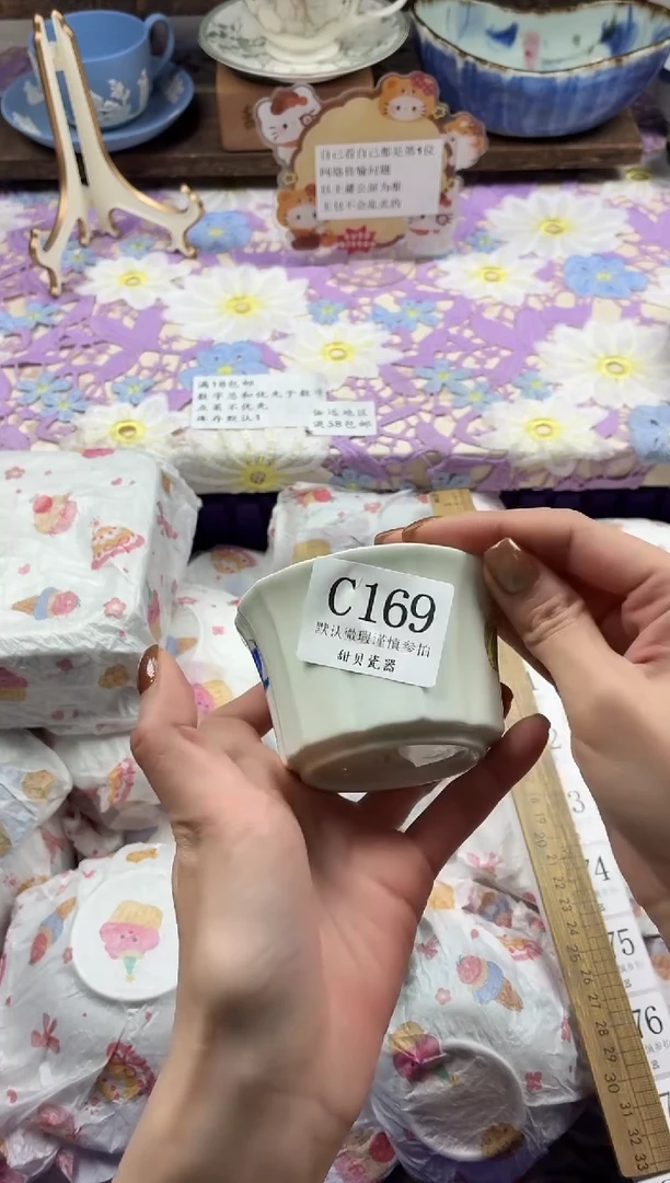 瓷片丫*                C169