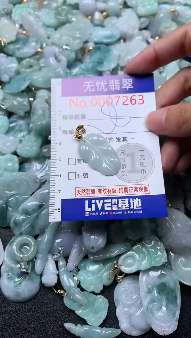 颈饰未镶嵌翡翠7263