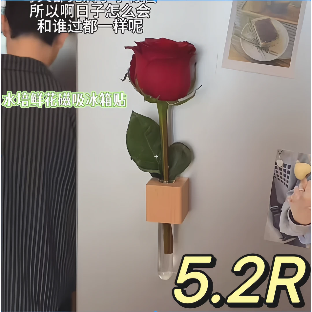 冰箱贴花瓶可以养花的试管水培鲜花磁吸冰箱贴每天一支花复古装饰