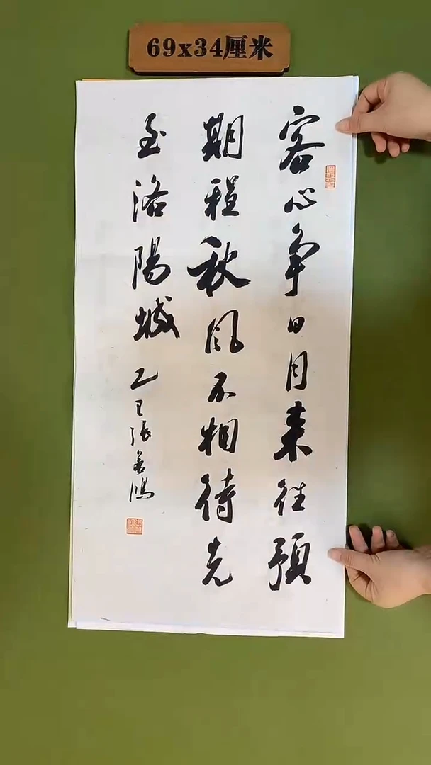 书法书法 张若鸿 尺寸69cm*34cm