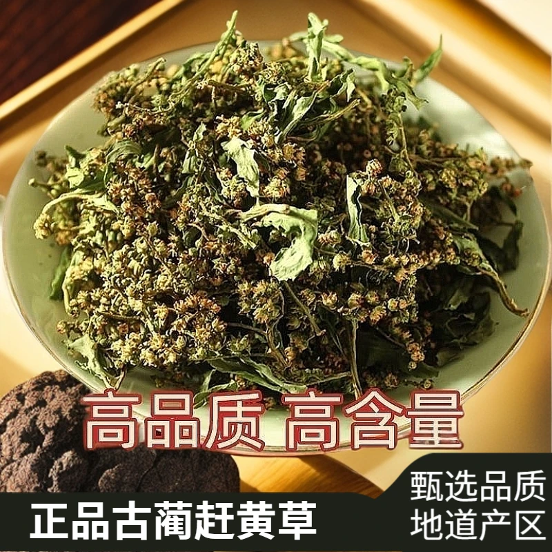 正宗四川古蔺赶黄草全草泡水加班熬夜益肝茶100克包邮