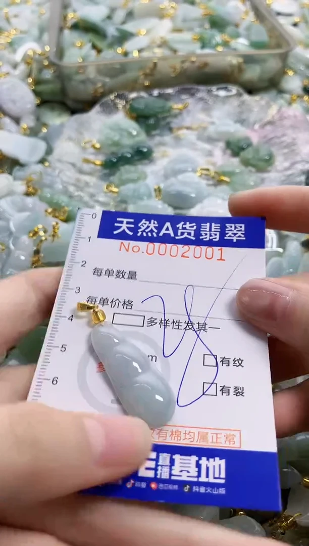 颈饰未镶嵌翡翠纯天然a货翡翠