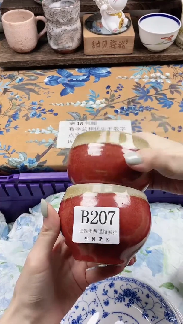 瓷片断****?                B207