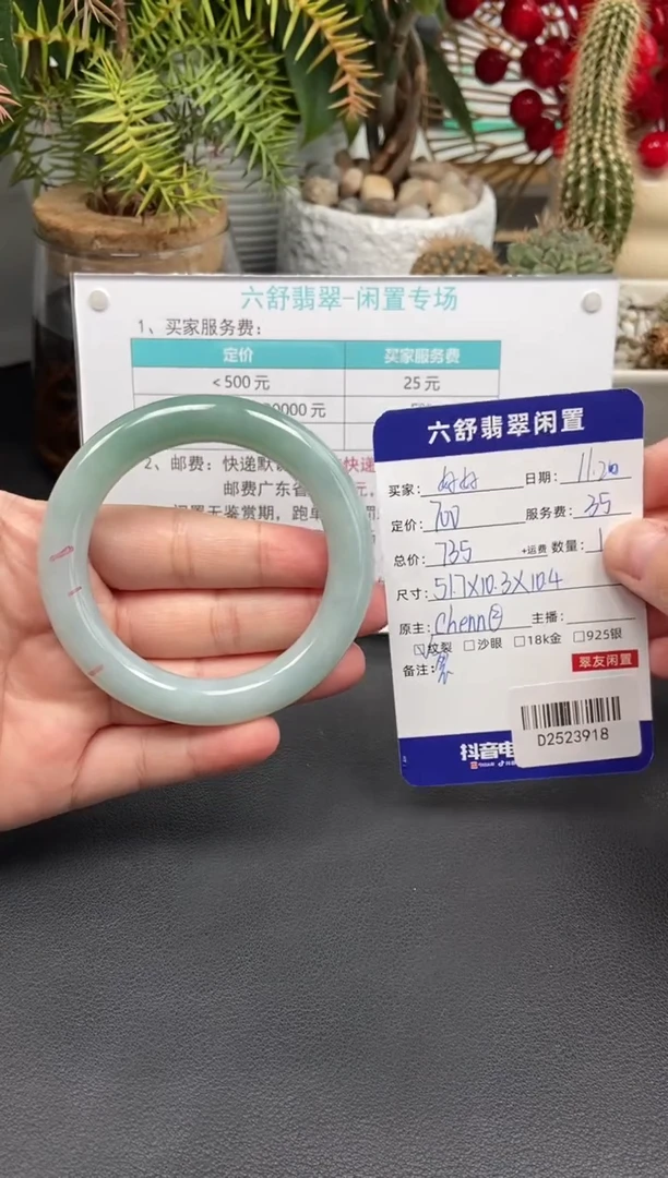 未镶嵌手镯翡翠好*D2523918