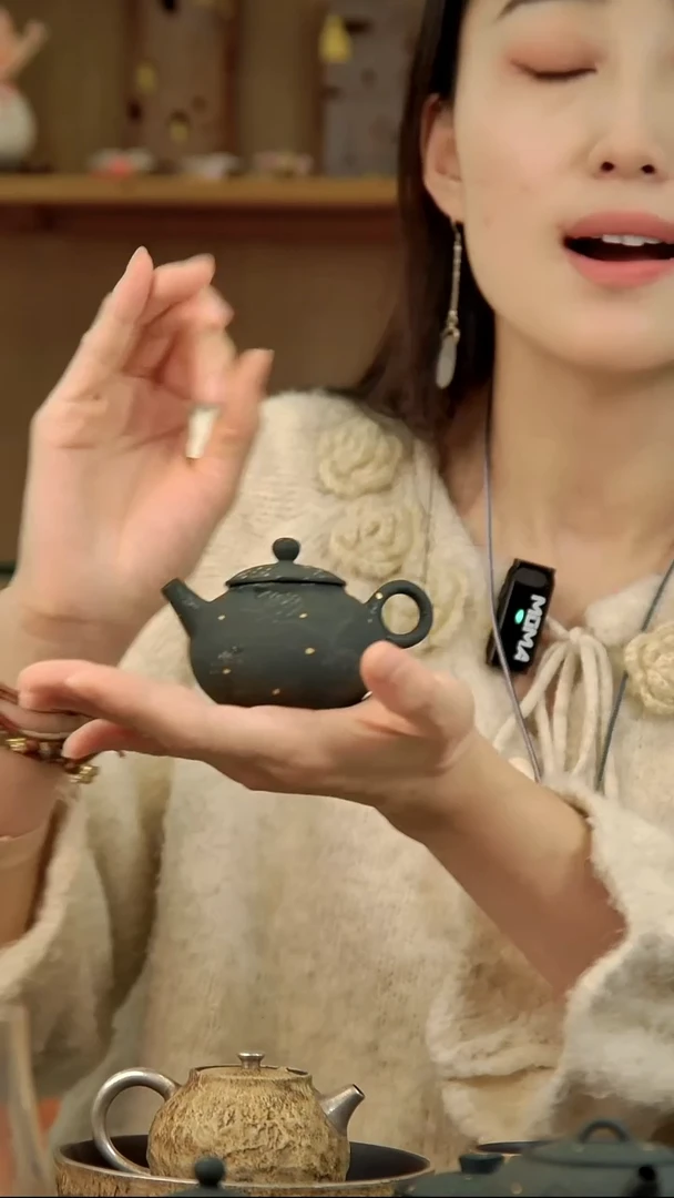 言野手作 初雪西施壶