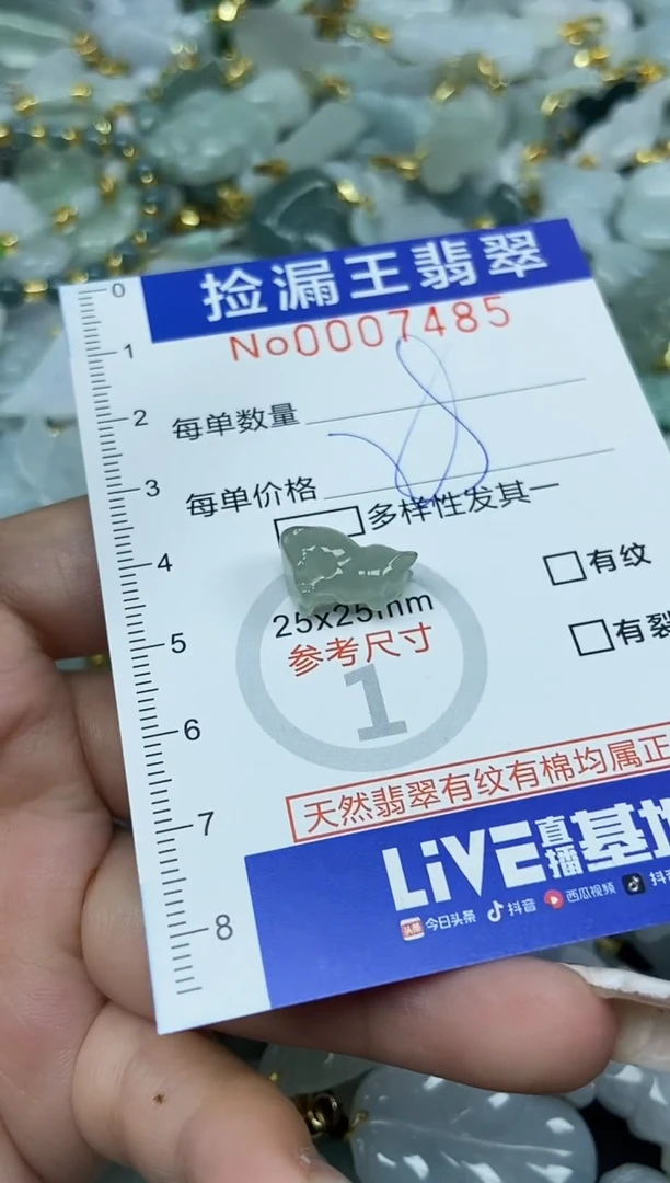 翡翠未镶嵌颈饰天然A货翡翠