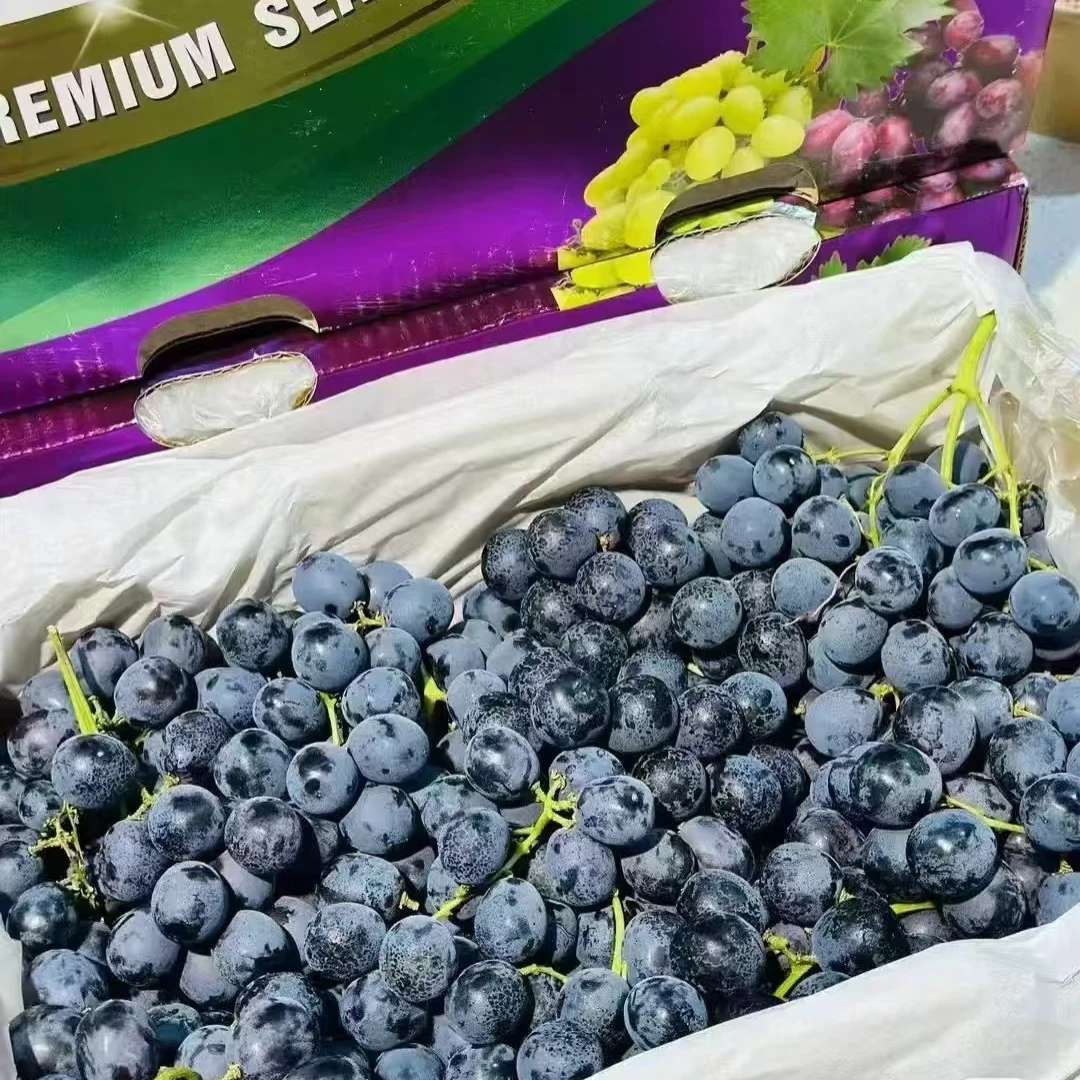 【一筐】玫瑰香葡萄3.5斤左右河北省